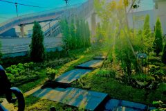 1_B8F7F870-C43E-476E-AE58-6F9C970E62C1